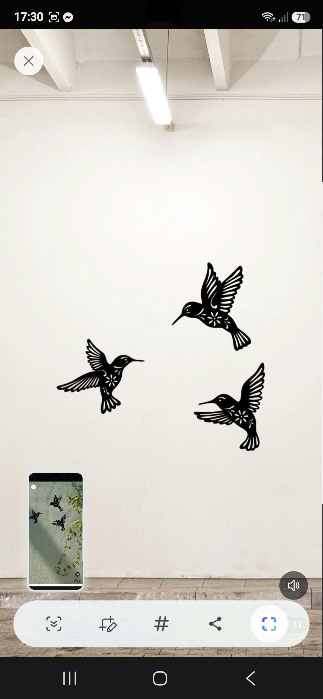 CUADROS COLIBRI (DECO) x 3